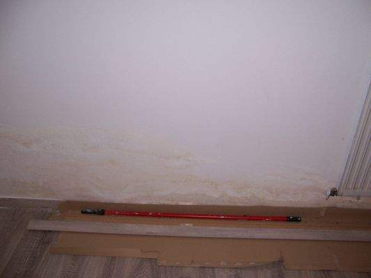 leichte Feuchtigkeit Keller (2).JPG