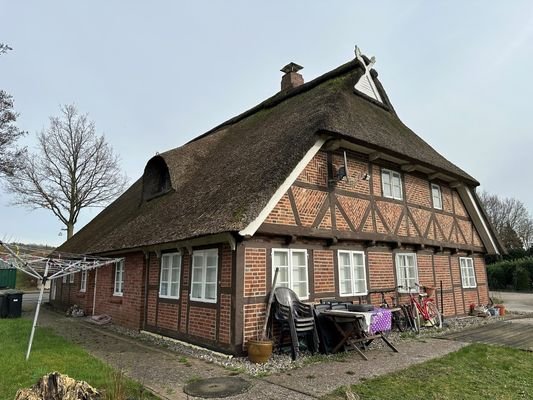 Seiten-Rückansicht (2)