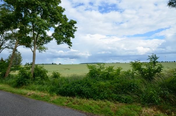 Blick nach Süden über die Felder_groß