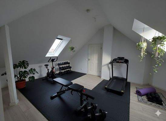 Alternativ Sportraum OG