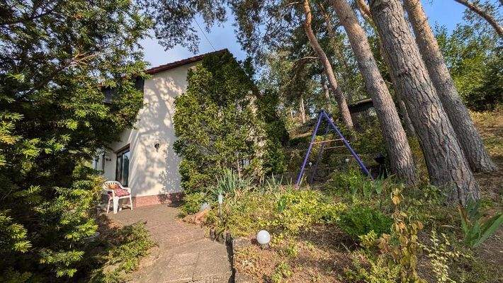 Ansicht zum EFH vom Weg