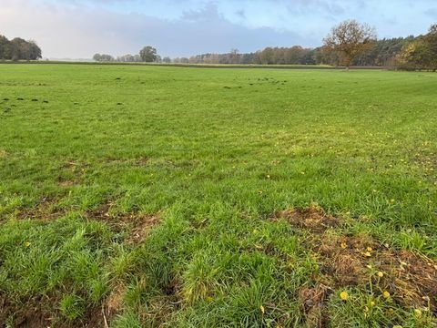 Wersen Bauernhöfe, Landwirtschaft, Wersen Forstwirtschaft