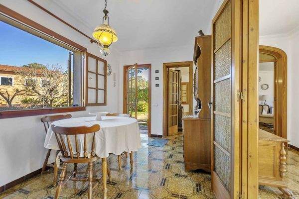 Blick vom Esstisch ins Freie