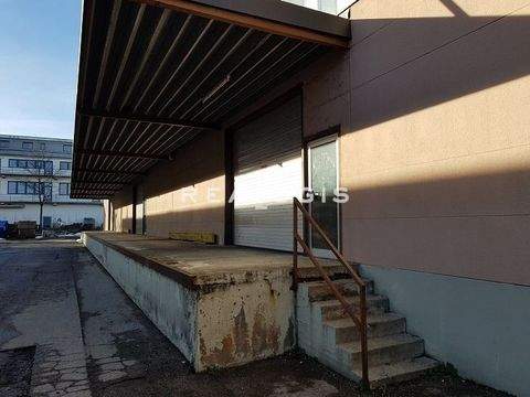 Benningen Halle, Benningen Hallenfläche