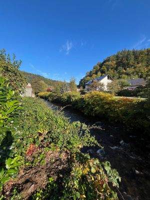 Aussen Bach h.jpg