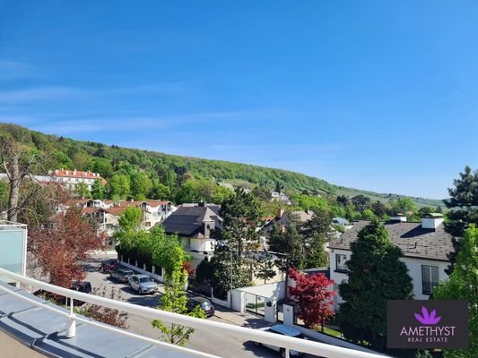 Ausblick aus der Terrasse