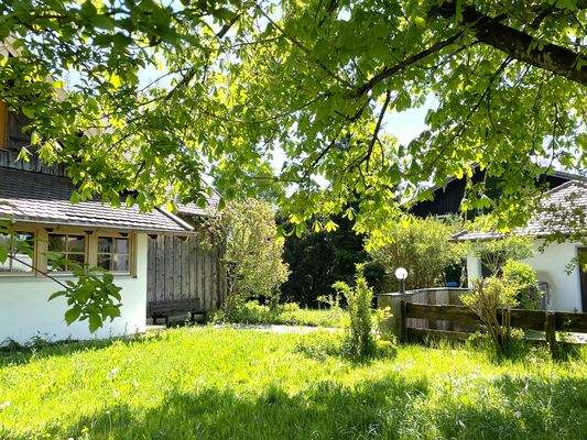 Garten unter dem Kastanienbaum