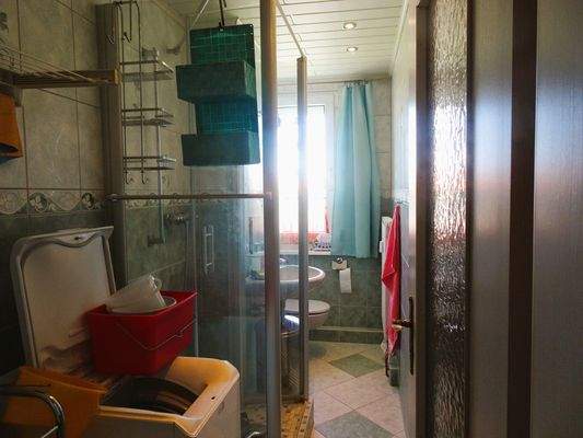 20250429_Bad_Lin (2).JPG