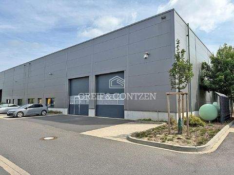 Kerpen Halle, Kerpen Hallenfläche