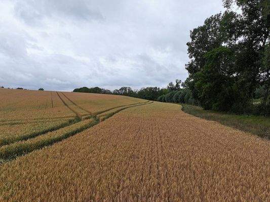 Blick Richtung Westen 