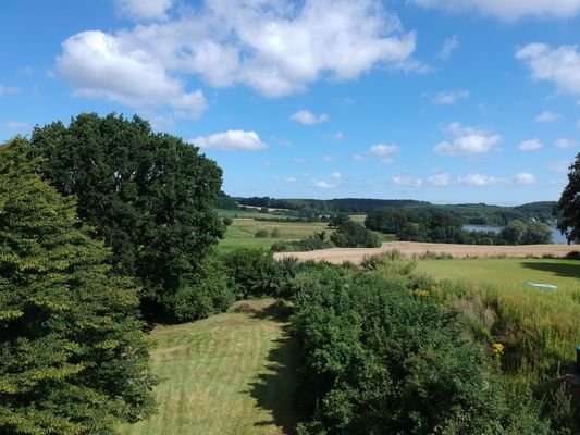 Garten / Potenzielles Baugrundstück