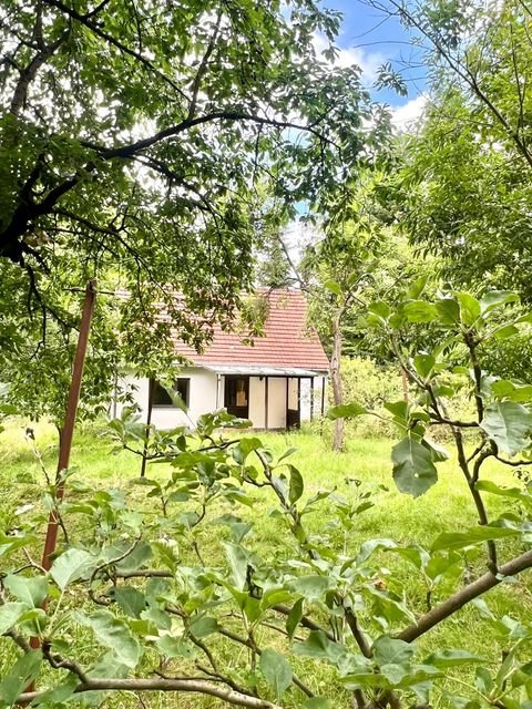 Fürstenberg OT Barsdorf Häuser, Fürstenberg OT Barsdorf Haus kaufen