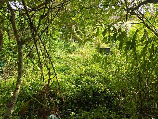 PHOTO-2025-09-13-12-29-12 2.jpg