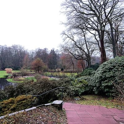 Blick in den Park I.JPG