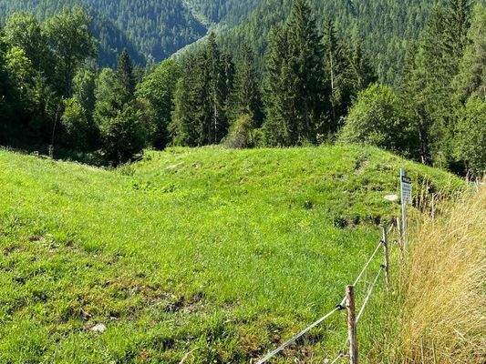 Landwitschaftliche Grundfläche