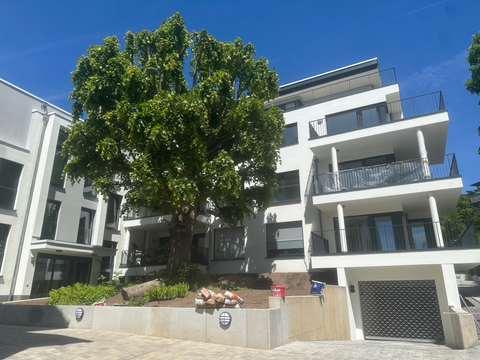 Königstein Wohnungen, Königstein Wohnung mieten