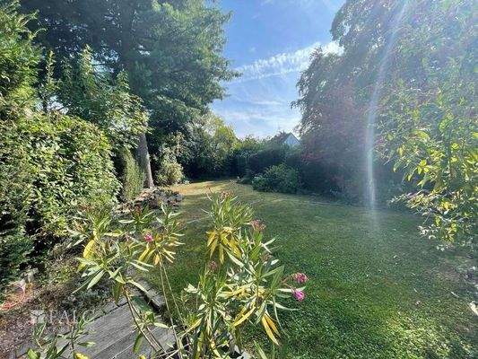 Blick in den Garten_01