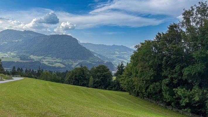 4-Zimmer-Wohnung - St