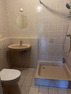 moritz Gäste WC mit Dusche.jpg