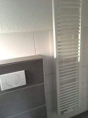 Originalfoto Duschbad