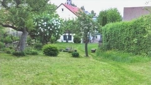 Blick vom Garten zum Haus