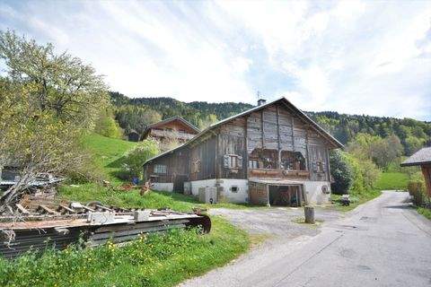 LES VILLARDS SUR THONES Renditeobjekte, Mehrfamilienhäuser, Geschäftshäuser, Kapitalanlage