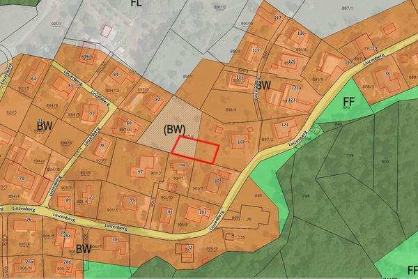 Flächenwidmungsplan