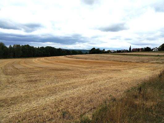 Ansicht Süd-Ost - Flst. 2688 Gemarkung Neustadt be