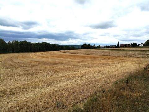Neustadt b.Coburg Industrieflächen, Lagerflächen, Produktionshalle, Serviceflächen