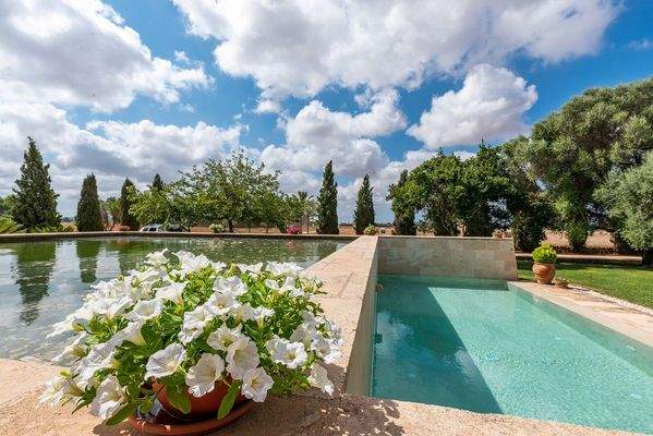 Pool und Wasserreservoir