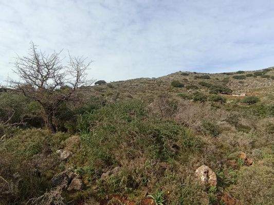 Kreta, Astratigos: Grundstück in der Nähe von Kolymvari zu verkaufen