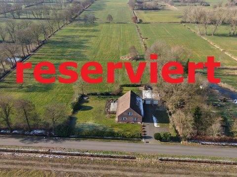 Leer Häuser, Leer Haus kaufen