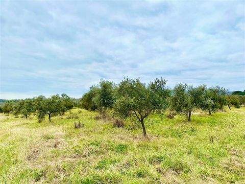 Massa Marittima Grundstücke, Massa Marittima Grundstück kaufen