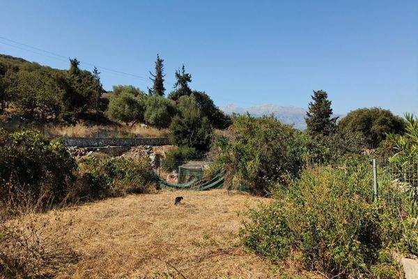 Kreta, Plaka: Erstklassige Entwicklungsmöglichkeit mit Meerblick zu verkaufen
