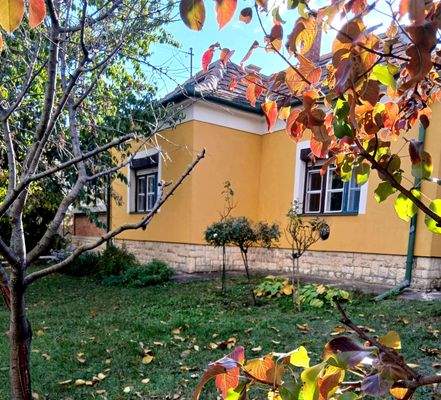 1000000986 másolata.jpg