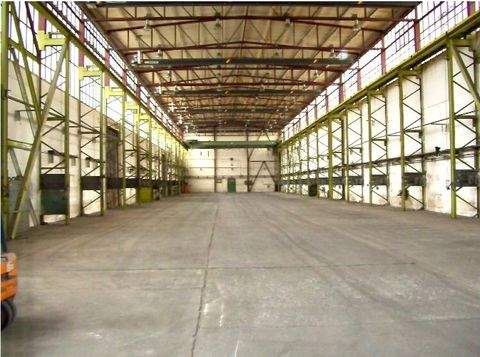 Südharz Halle, Südharz Hallenfläche