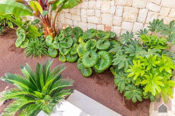 CostaBlanca Exclusive