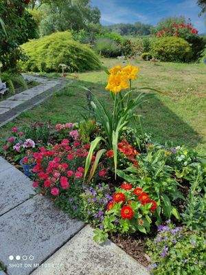 Groß (f2c4330b-2961-44b4-a6b5-e2a3d4443062 Kopie).jpeg