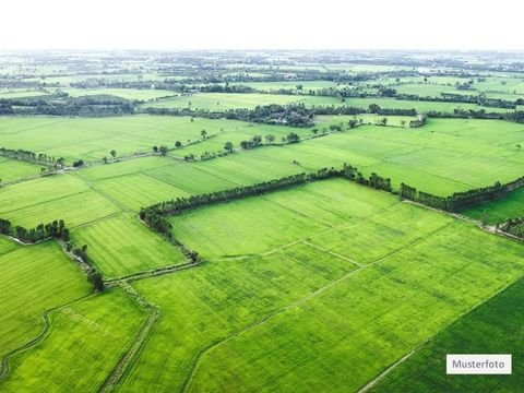 Osternienburger Land Grundstücke, Osternienburger Land Grundstück kaufen