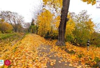 Bach hinter dem Grundstück