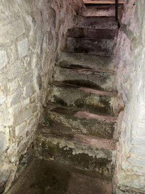 Kellertreppe