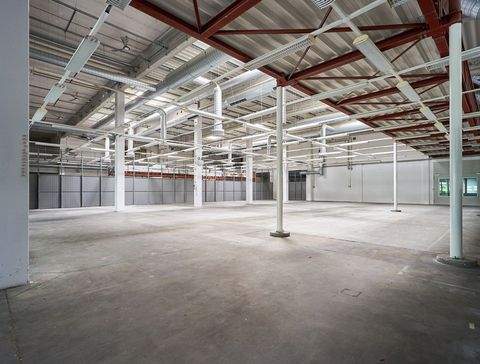 Mainz Halle, Mainz Hallenfläche