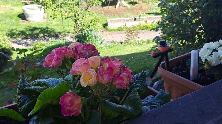 Garten mit Ausblick von der Terrasse 