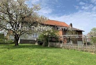 Ansicht Rückseite mit Hühnerauslauf