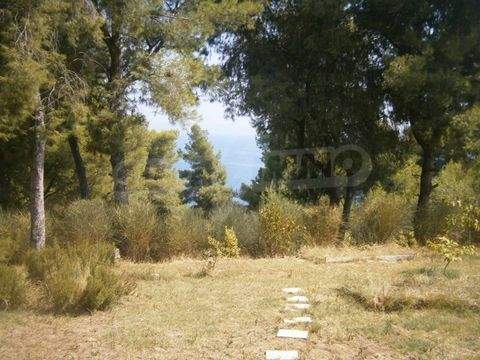 Afitos Häuser, Afitos Haus kaufen