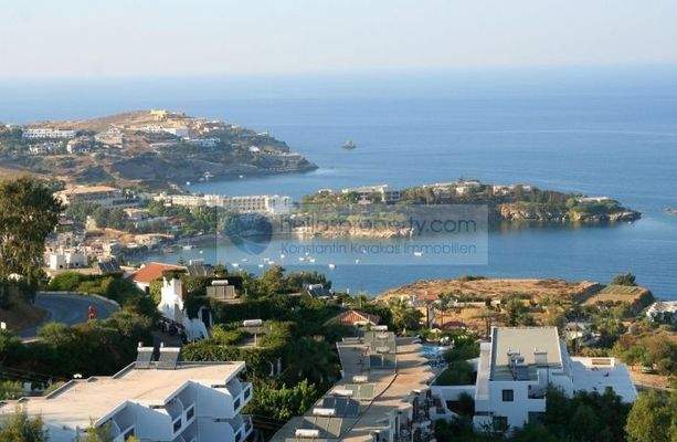 GRUNDSTÜCK AG PELAGIA 12