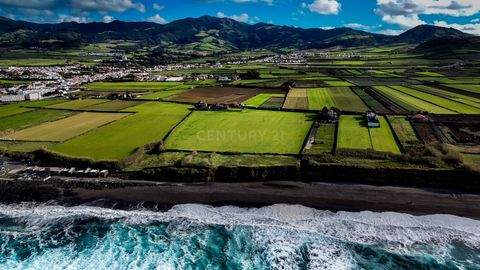 Ilha de São Miguel, Ribeira Seca Bauernhöfe, Landwirtschaft, Ilha de São Miguel, Ribeira Seca Forstwirtschaft