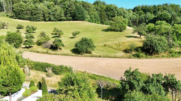 Das Wasserschutzgebiet auf der gegenüberliegenden Straßenseite sorgt für einen traumhaften Ausblick ins Grüne