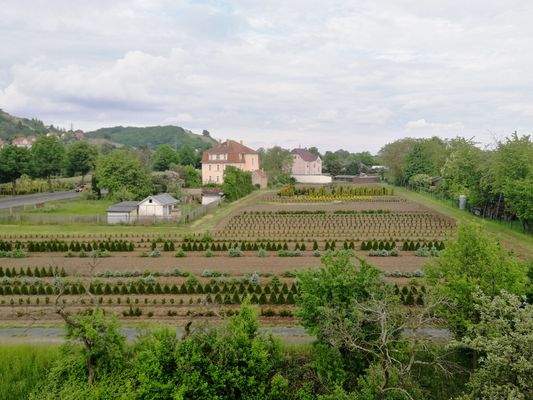 Blick Richtung Schloss Wackerbarth