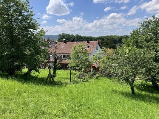 Ost-Ansicht neben Obstwiese